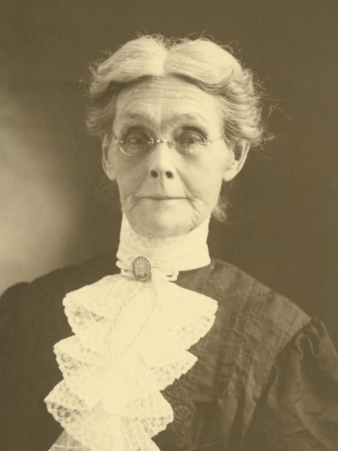 Louisa Ann McClellan (1840 - 1916) Profile